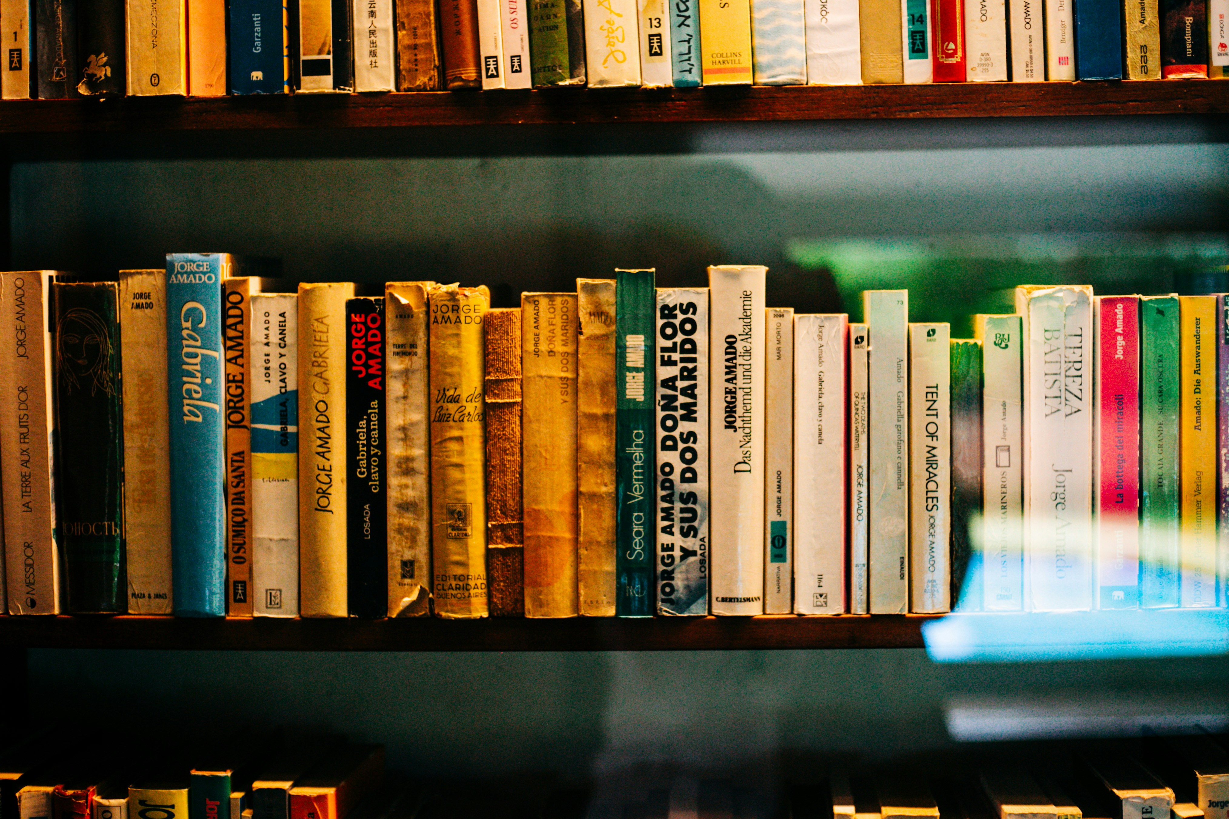 Premium Bookstore View 2